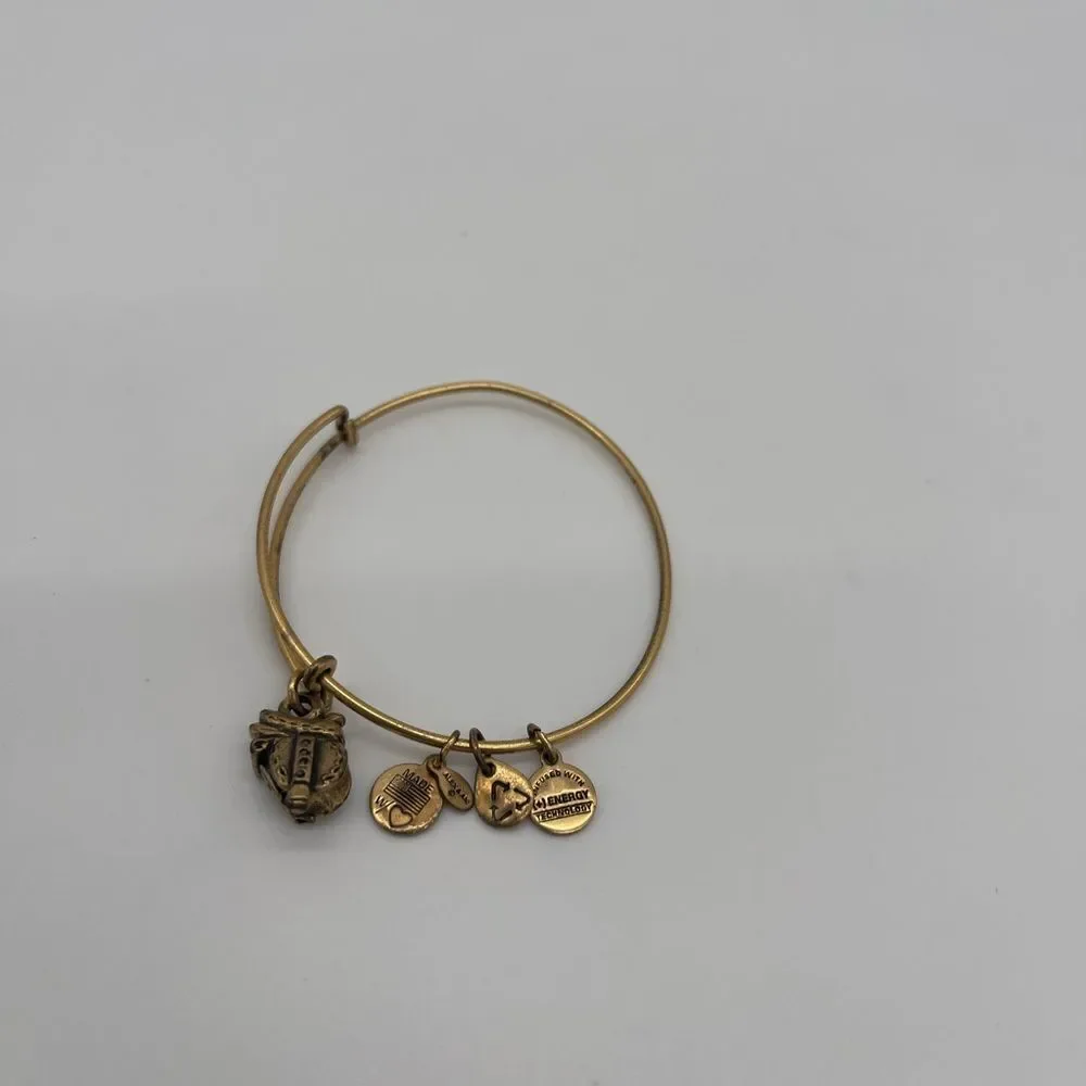 Alex and Ani Saddle Bangle